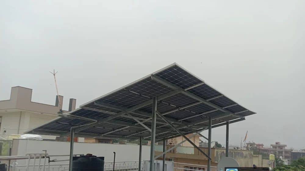An elevated rooftop plant in the city